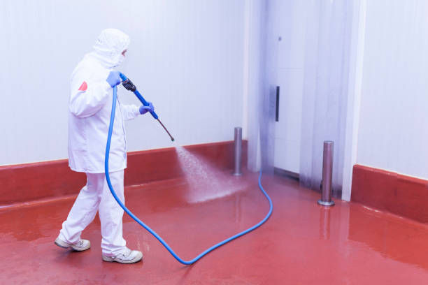 Best House Exterior Washing  in Red Hill, PA